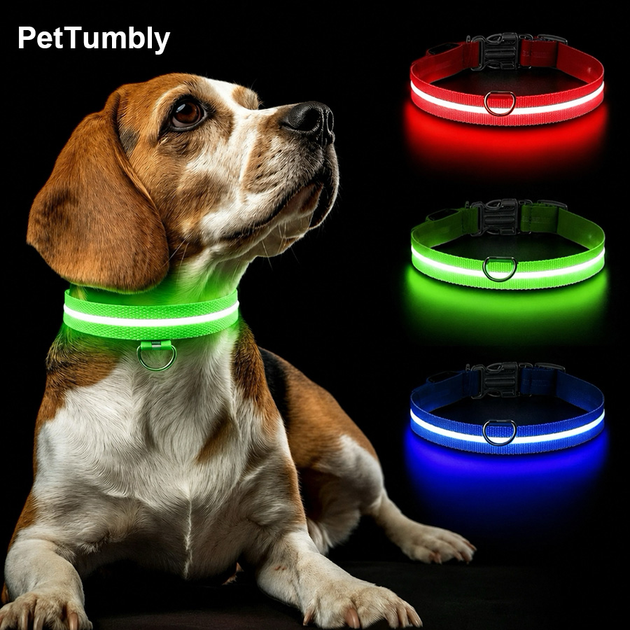 3 Modes Dog Luminous Charge Co - đánh giá và giá Tech Dog Accessories